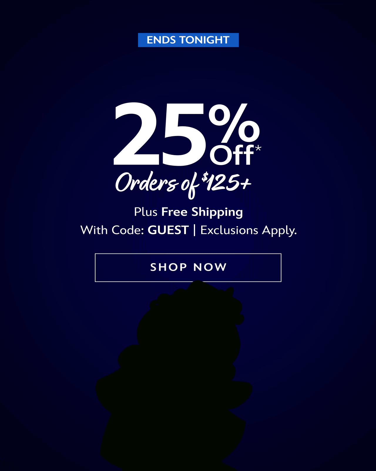 25 Off Purchase of $125 Promotion | Shop Now