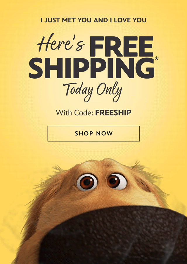 I just met you and I love you. Here�s Free Shipping. Today Only With Code: FREESHIP | Shop Now