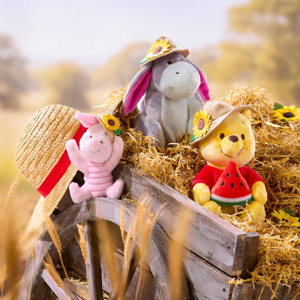 Winnie the Pooh Summertime Plush &ndash; 10'' &ndash; Disney Store Japan