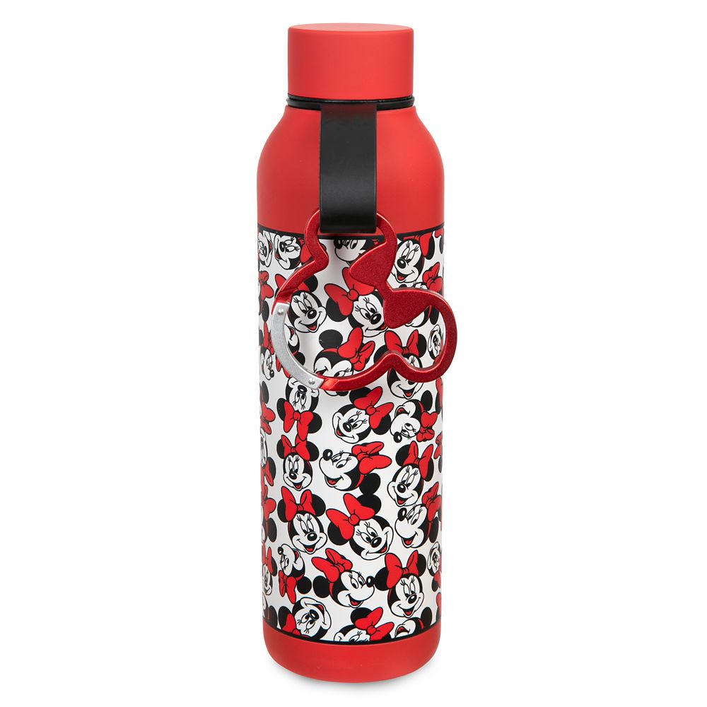 Minnie Mouse 21 oz. Stainless Steel Water Bottle with Carabiner