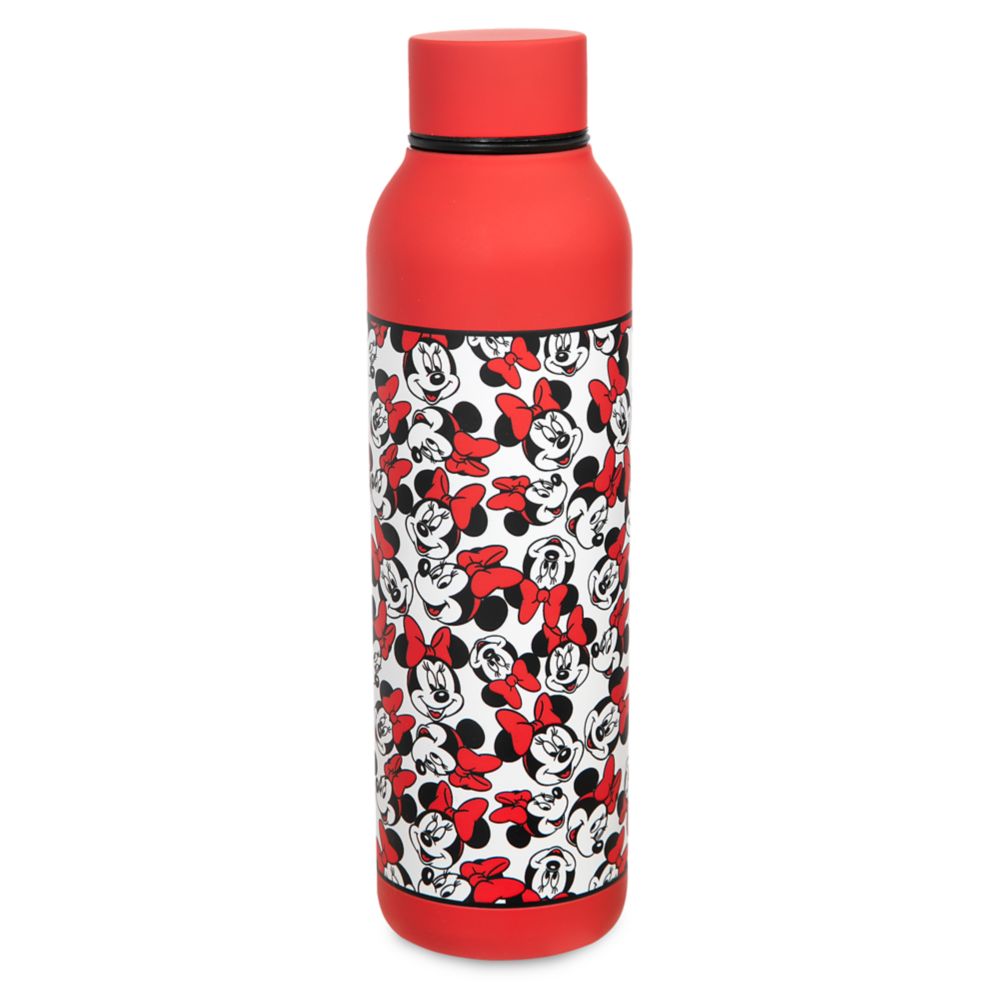 Minnie Mouse 21 oz. Stainless Steel Water Bottle with Carabiner