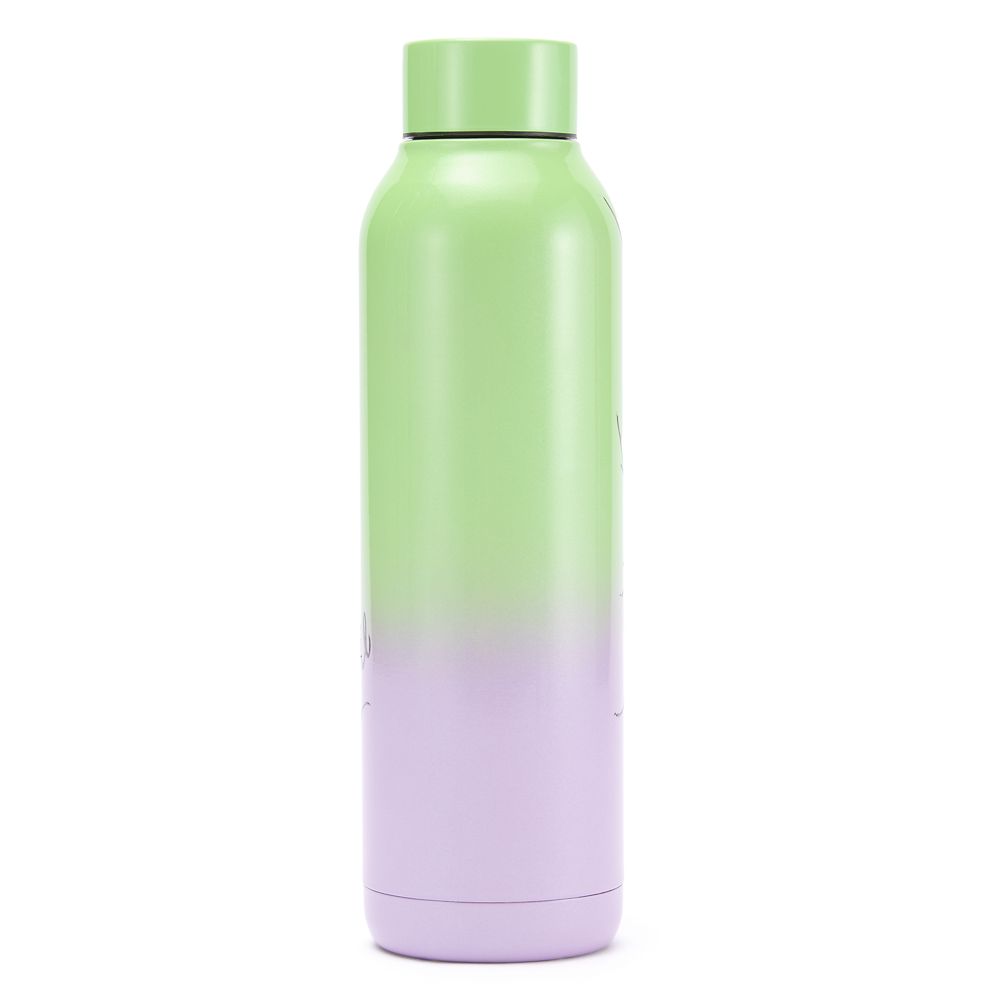 Tinker Bell 21 oz. Stainless Steel Water Bottle &ndash; Peter Pan