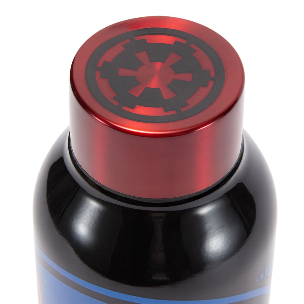 Darth Vader 21 oz. Stainless Steel Water Bottle - Star Wars