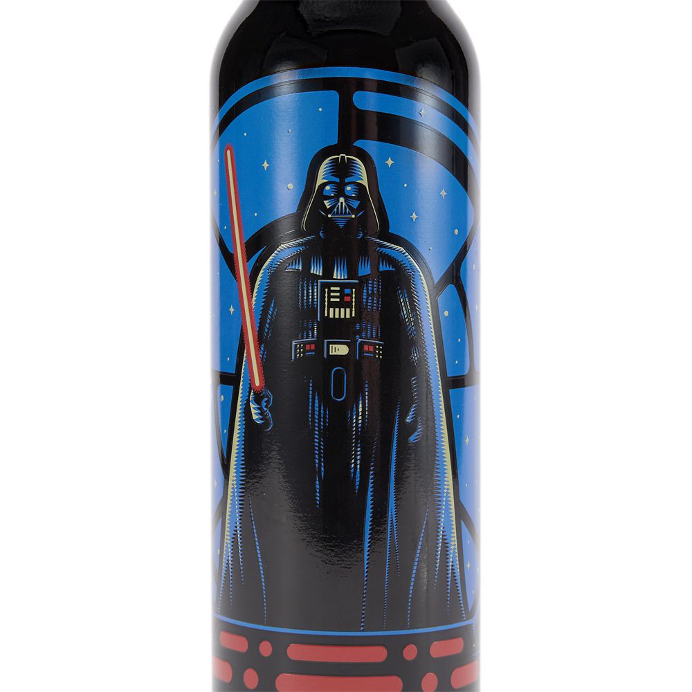 Darth Vader 21 oz. Stainless Steel Water Bottle - Star Wars