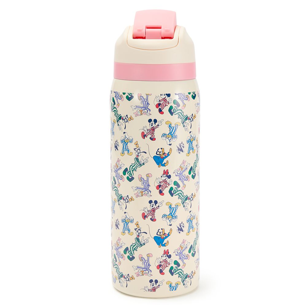 Mickey Mouse and Friends Stainless Steel Water Bottle with Built-In Straw