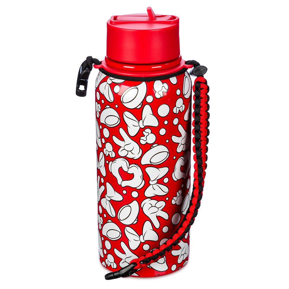 Minnie Mouse 32 oz. Stainless Steel Water Bottle and Carrier