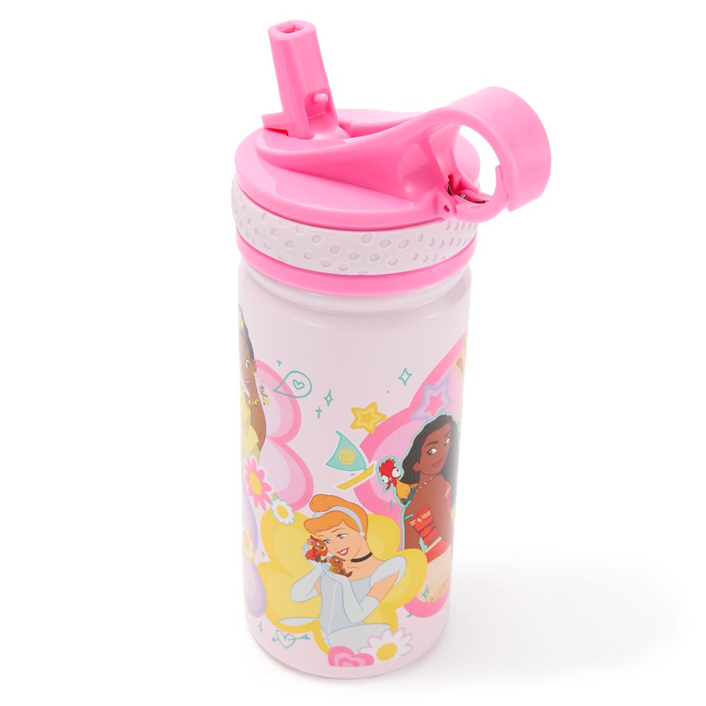 Disney Princess 14oz. Stainless Steel Water Bottle with Built-In Straw