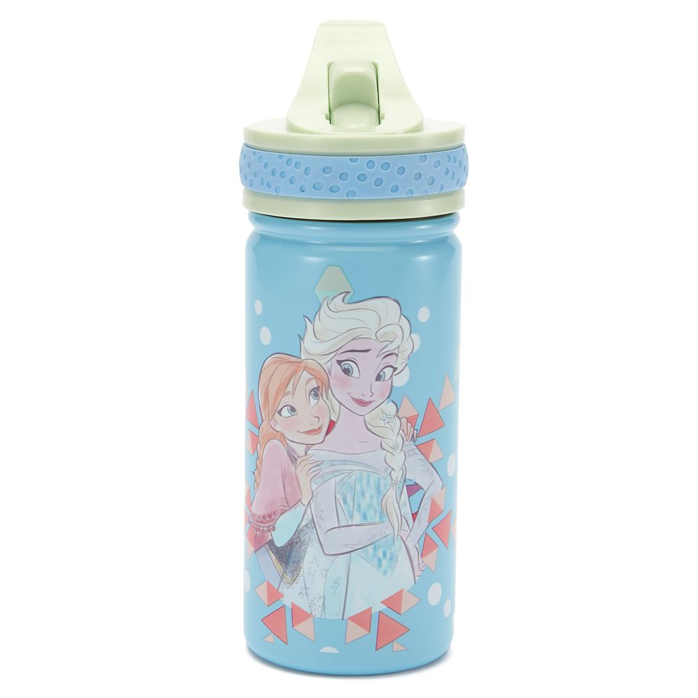 Frozen 14oz. Stainless Steel Water Bottle with Built-In Straw