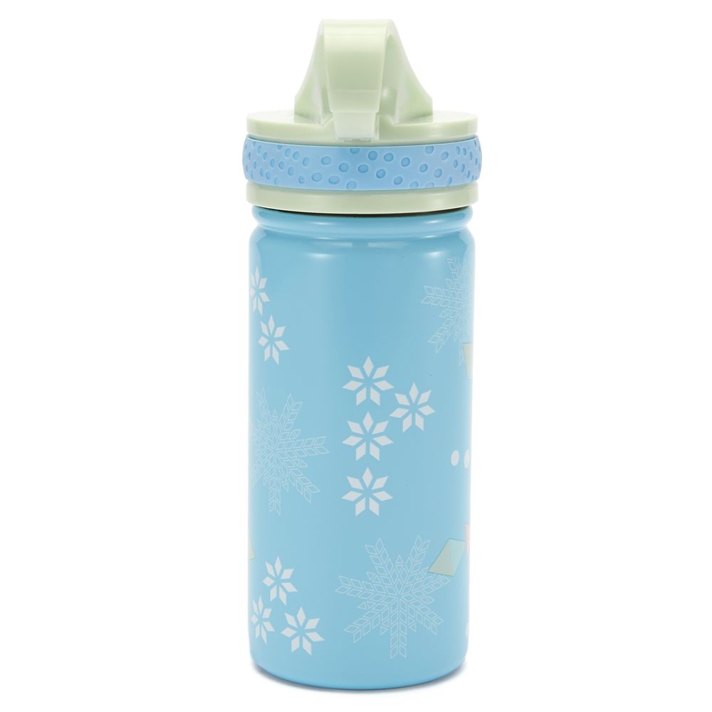 Frozen Stainless Steel Water Bottle with Built-In Straw