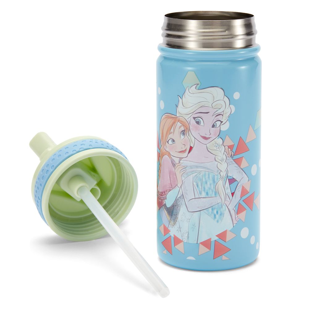 Frozen Stainless Steel Water Bottle with Built-In Straw