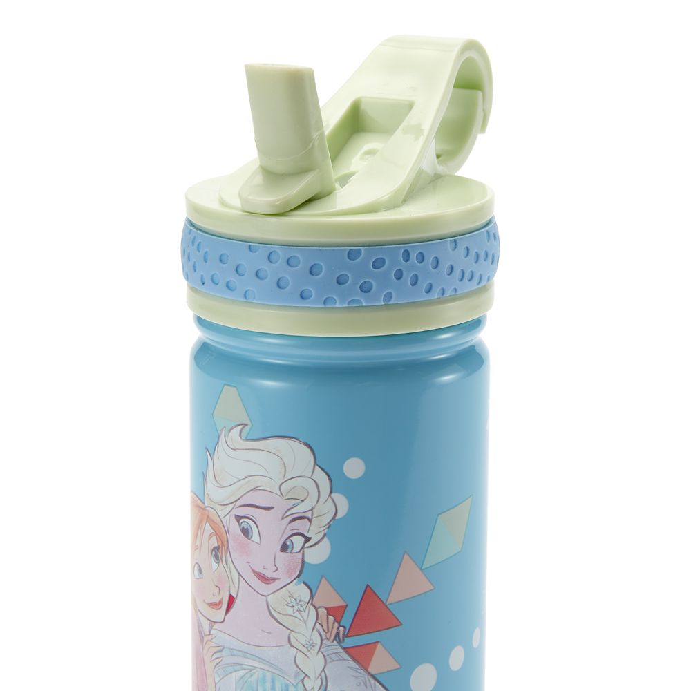 Frozen Stainless Steel Water Bottle with Built-In Straw