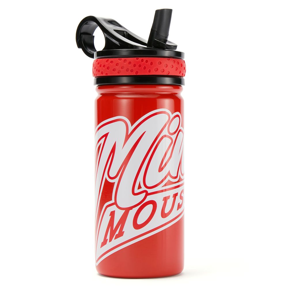 Minnie Mouse 14oz. Stainless Steel Water Bottle with Built-In Straw