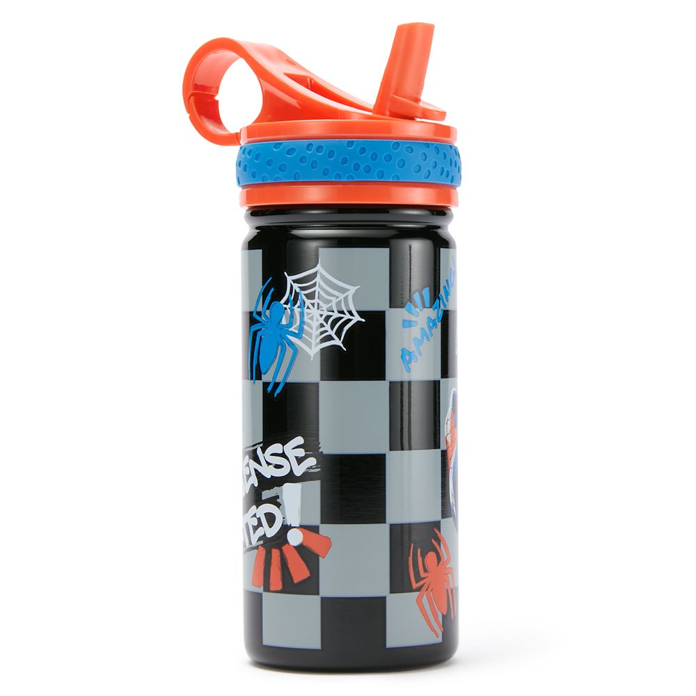 Spider-Man Stainless Steel Water Bottle with Built-In Straw