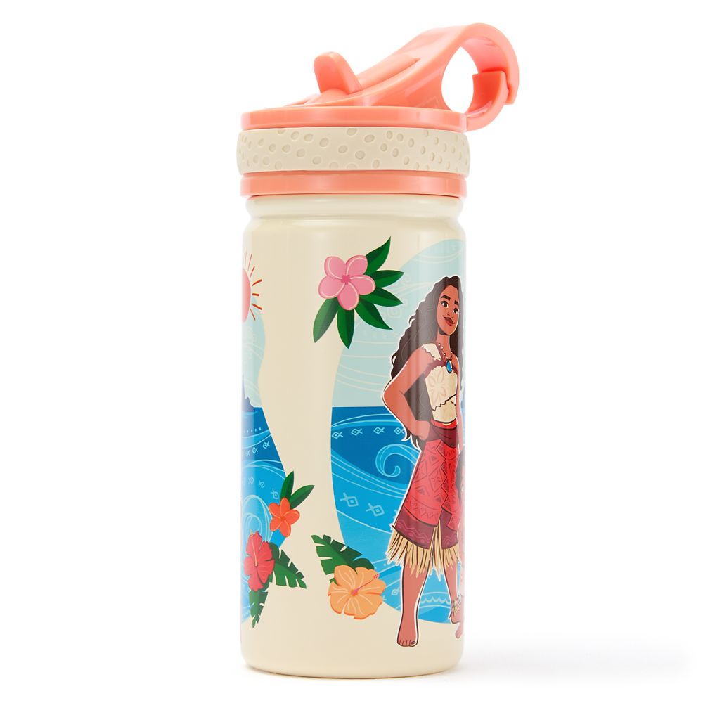 Moana and Simea 14oz. Stainless Steel Water Bottle with Built-In Straw – Moana 2