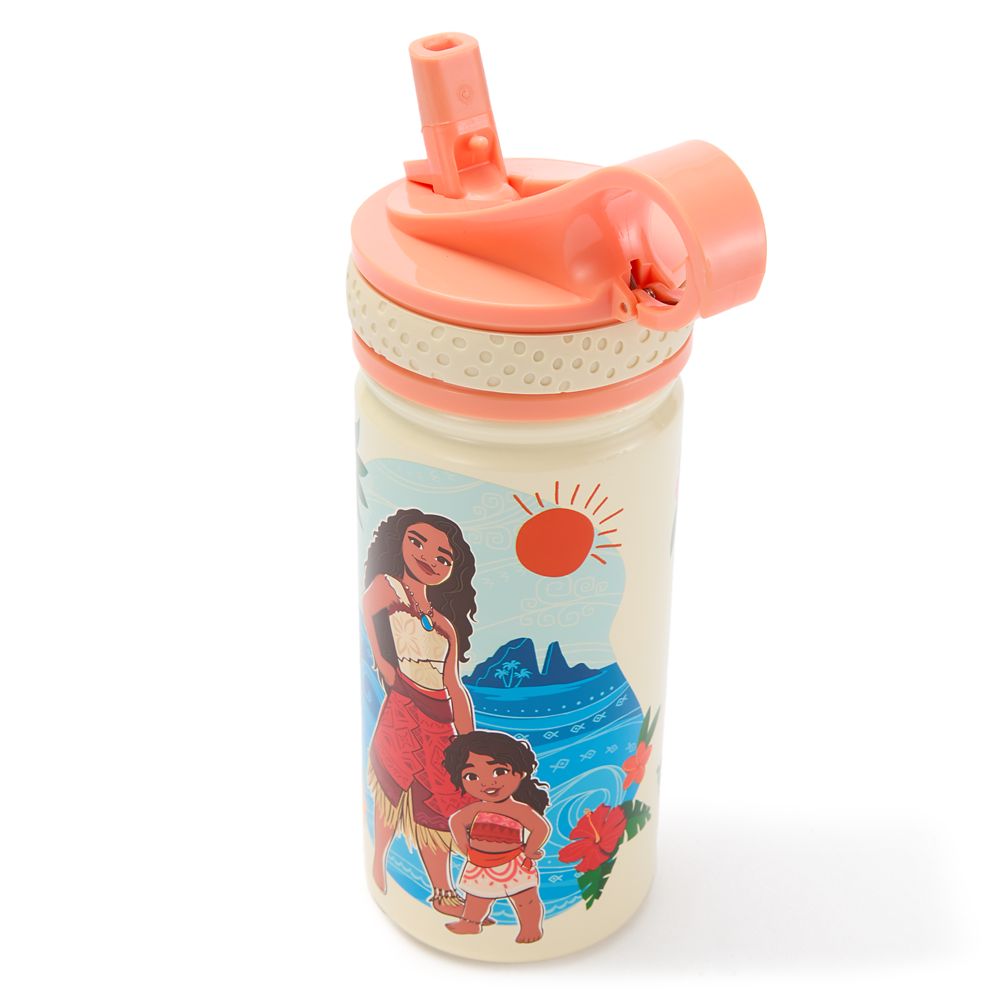 Moana and Simea 14oz. Stainless Steel Water Bottle with Built-In Straw - Moana 2