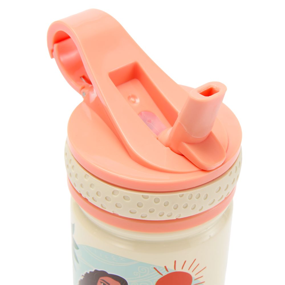Moana and Simea 14oz. Stainless Steel Water Bottle with Built-In Straw - Moana 2