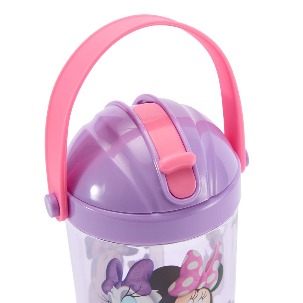 Minnie Mouse and Friends Snow Globe Water Bottle for Kids