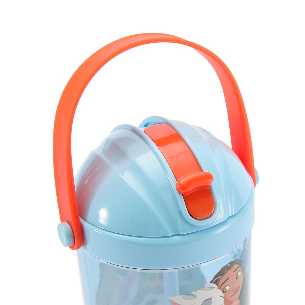 Moana Snow Globe Water Bottle for Kids