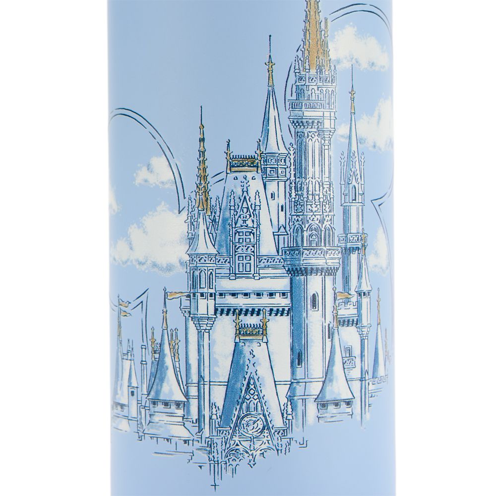 Walt Disney World 32 oz. Stainless Steel Water Bottle