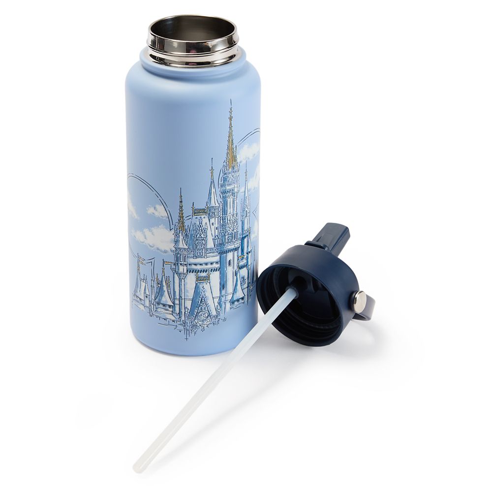 Walt Disney World 32 oz. Stainless Steel Water Bottle