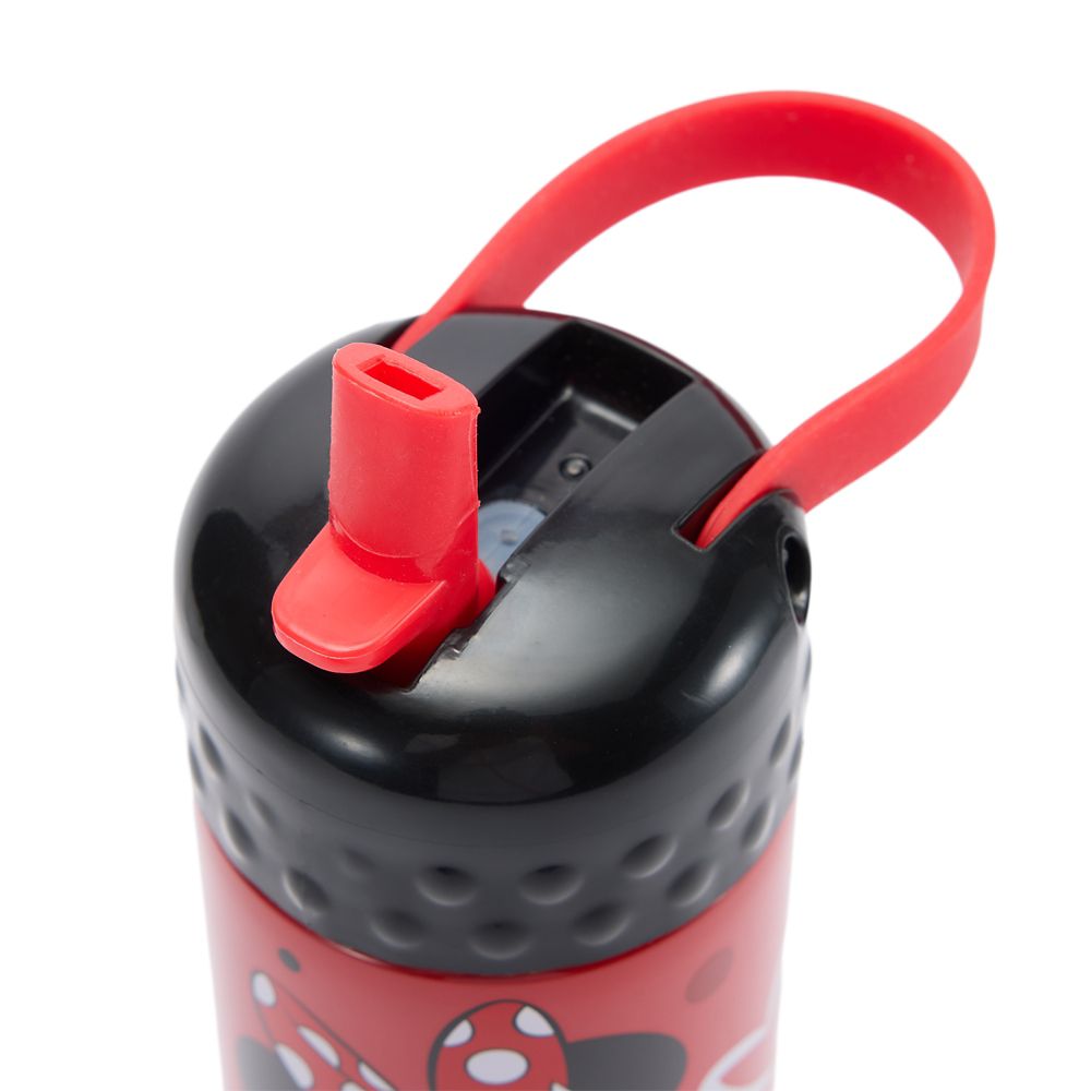 Minnie Mouse 16 oz. Stainless Steel Water Bottle with Built-In Straw