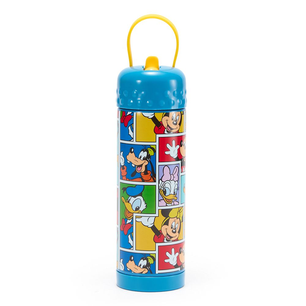 Mickey Mouse and Friends 16 oz. Stainless Steel Water Bottle with Built-In Straw