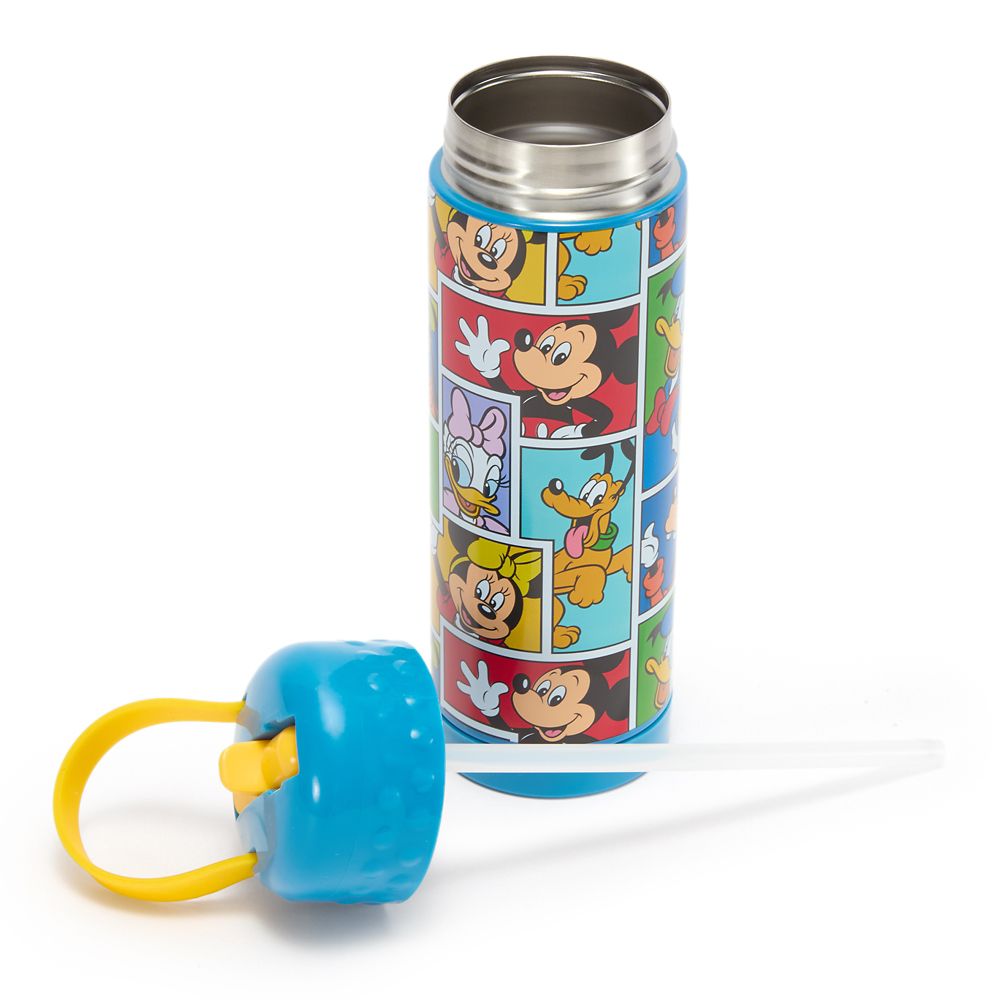 Mickey Mouse and Friends 16 oz. Stainless Steel Water Bottle with Built-In Straw