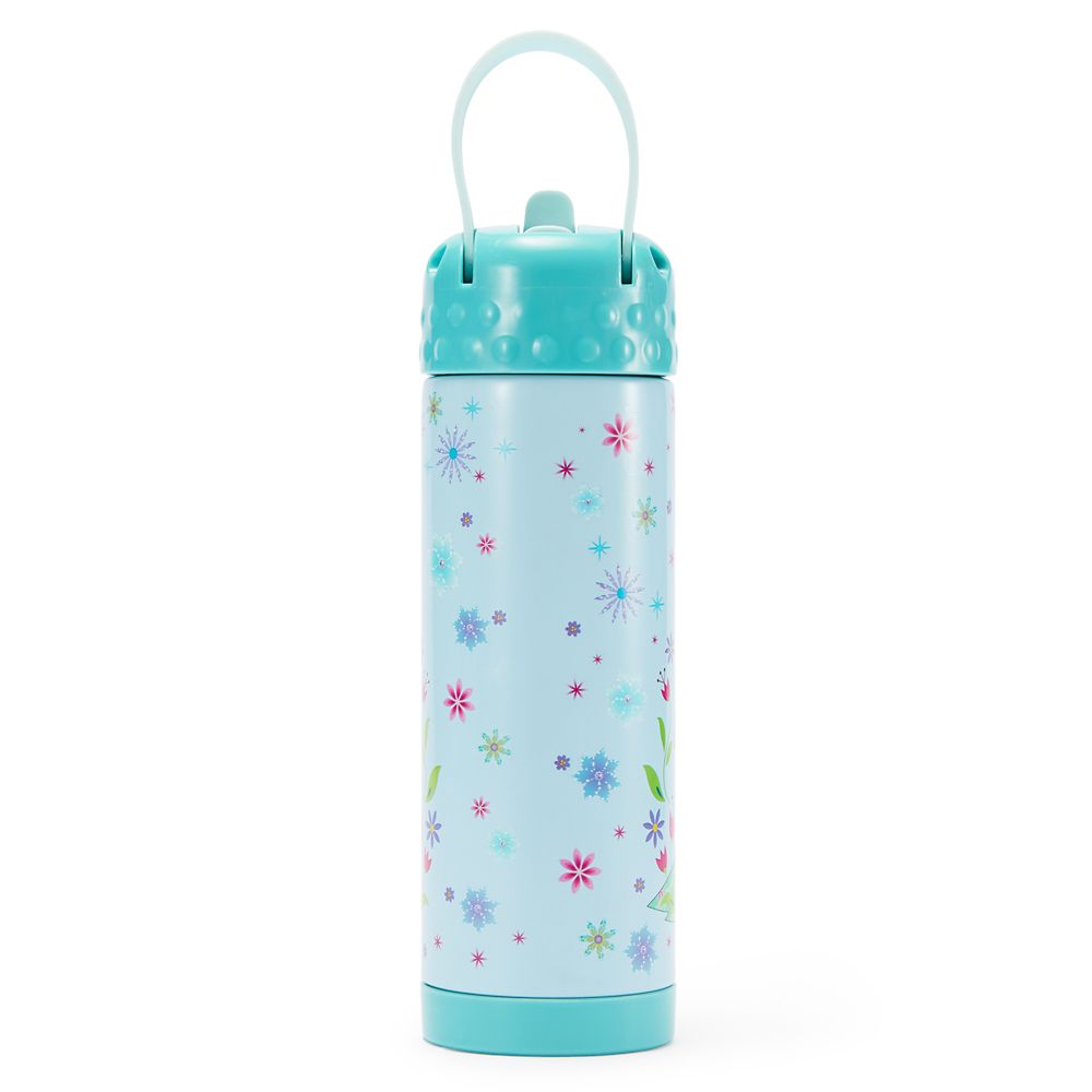 Frozen 16 oz. Stainless Steel Water Bottle with Built-In Straw