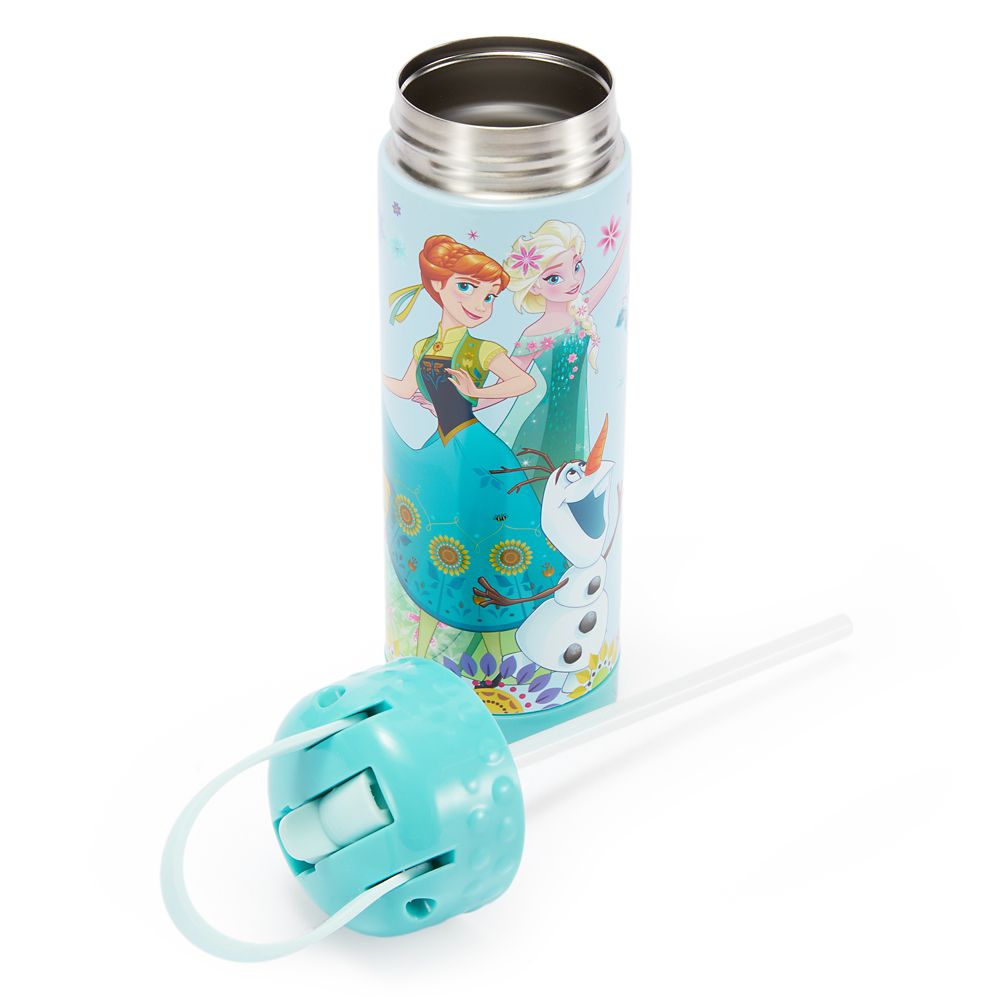 Frozen 16 oz. Stainless Steel Water Bottle with Built-In Straw