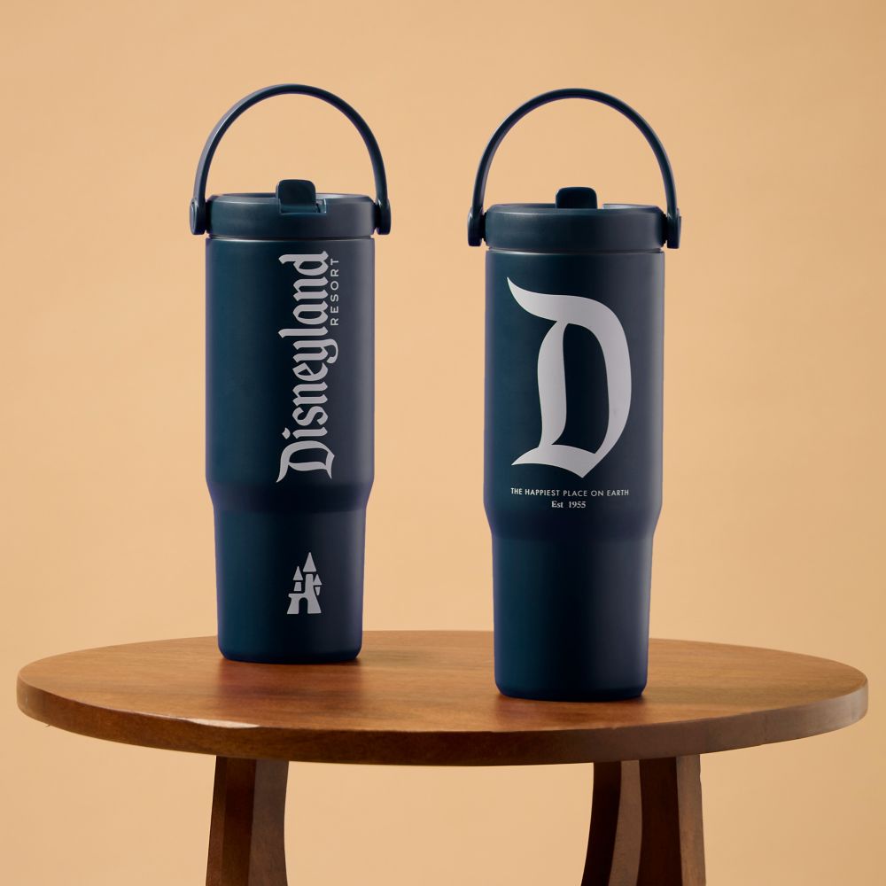 Disneyland 27 oz. Stainless Steel Water Bottle with Built-In Straw &ndash; Navy