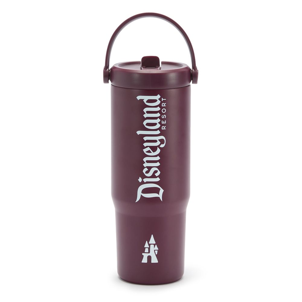 Disneyland 27 oz. Stainless Steel Water Bottle with Built-In Straw &ndash; Maroon