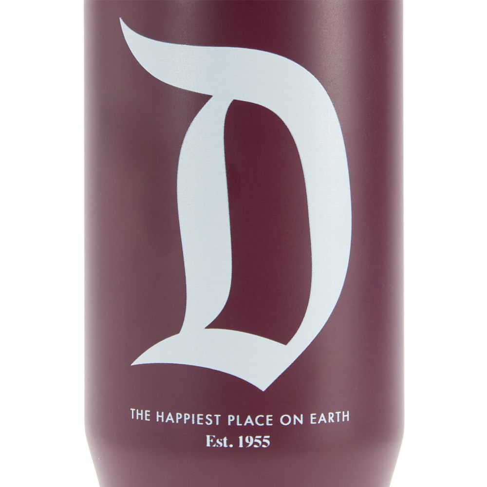 Disneyland 27 oz. Stainless Steel Water Bottle with Built-In Straw &ndash; Maroon