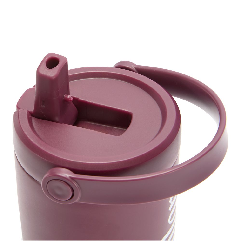 Disneyland 27 oz. Stainless Steel Water Bottle with Built-In Straw &ndash; Maroon