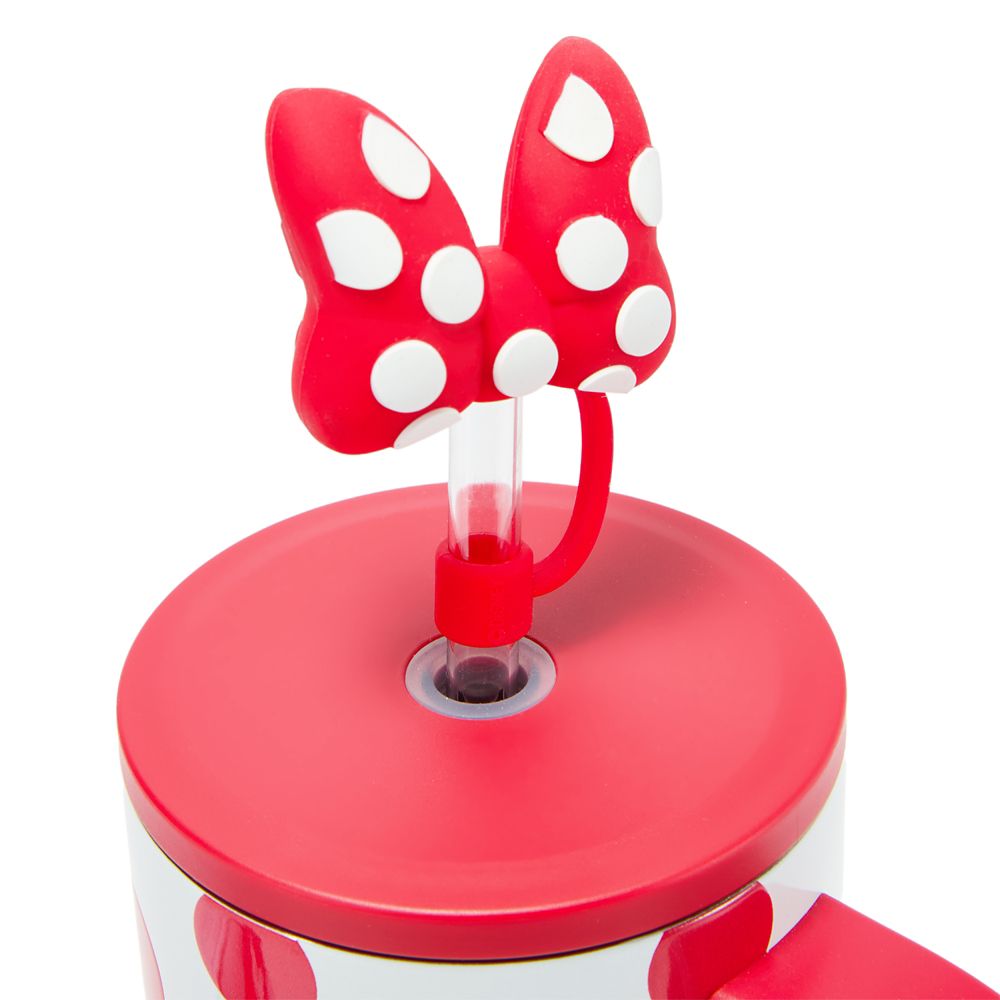 Minnie Mouse 30 oz. Stainless Steel Travel Tumbler with Straw plus Zip Case