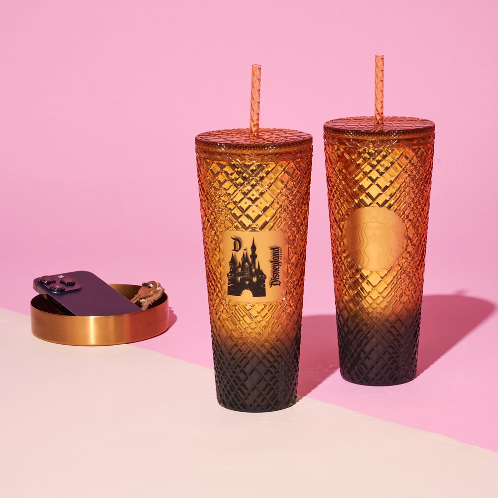 Sleeping Beauty Castle Geometric Starbucks® Tumbler with Straw