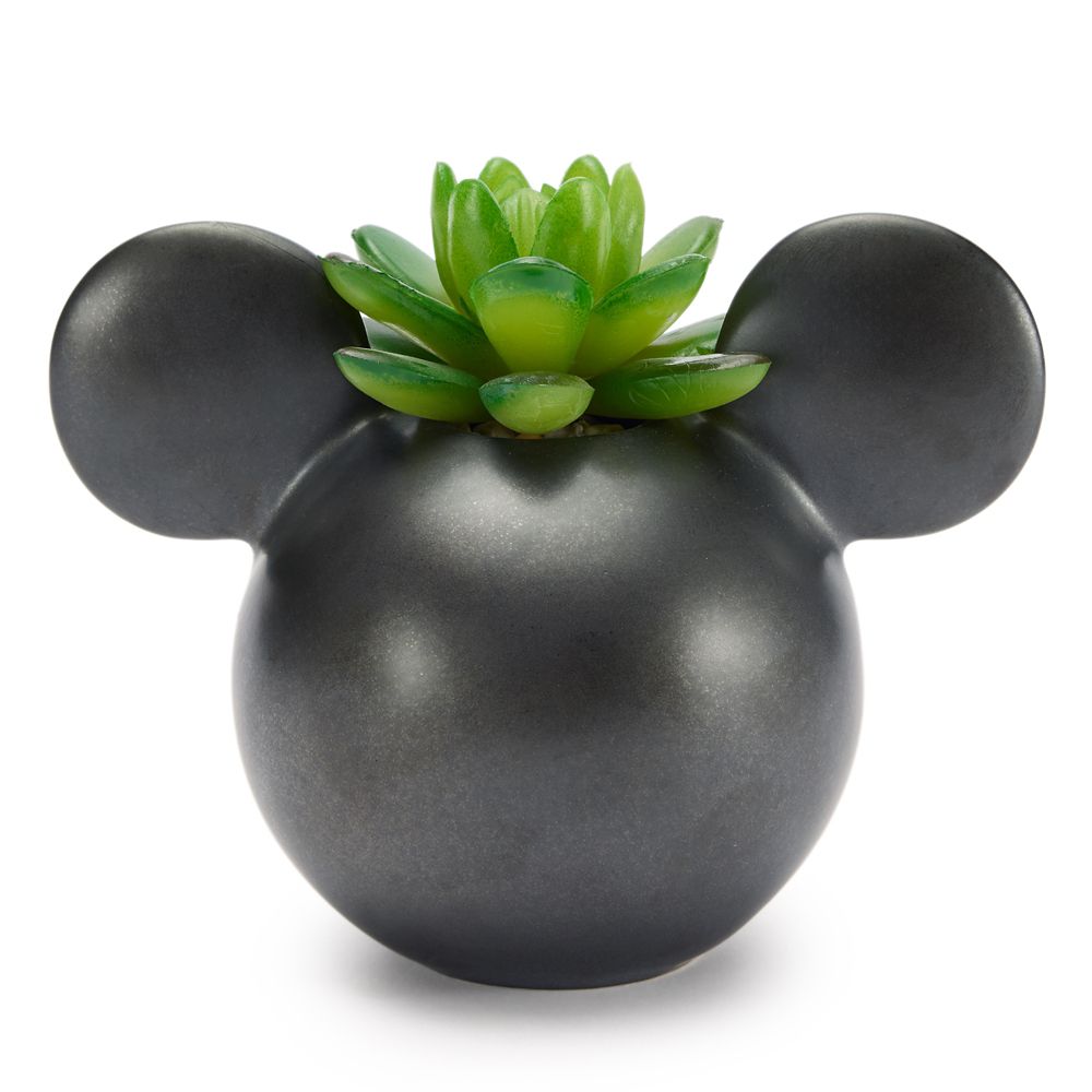 Mickey Mouse Icon Faux Succulent Ceramic Holder