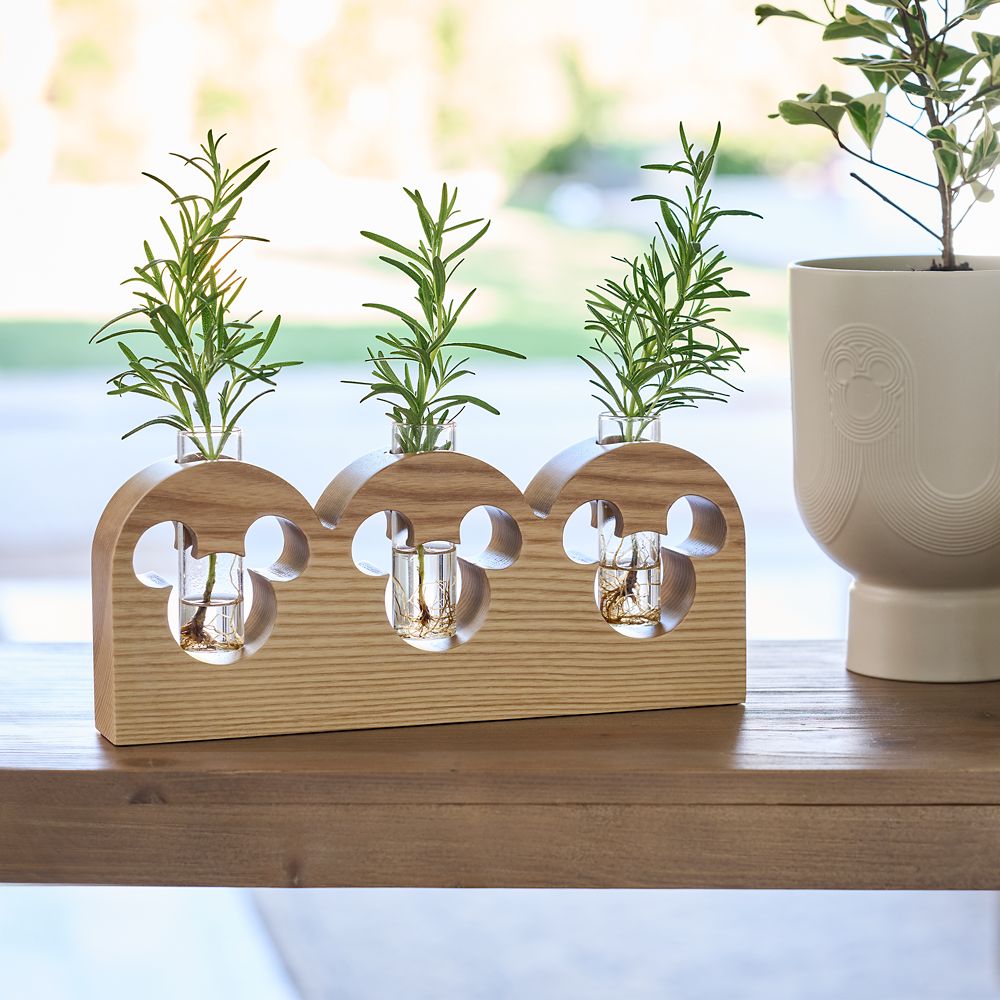 Mickey Mouse Icon Propagation Station &ndash; Mickey Mouse Home Collection