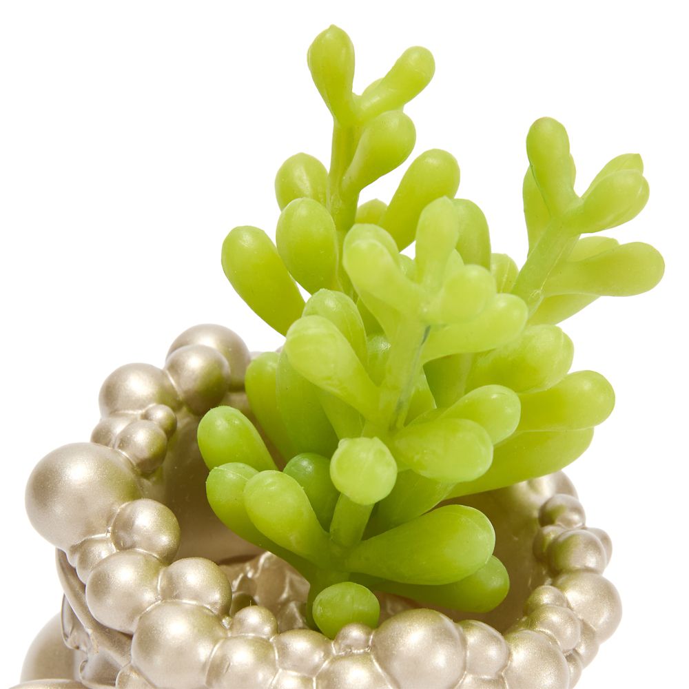 Chip Faux Succulent Holder &ndash; Beauty and the Beast