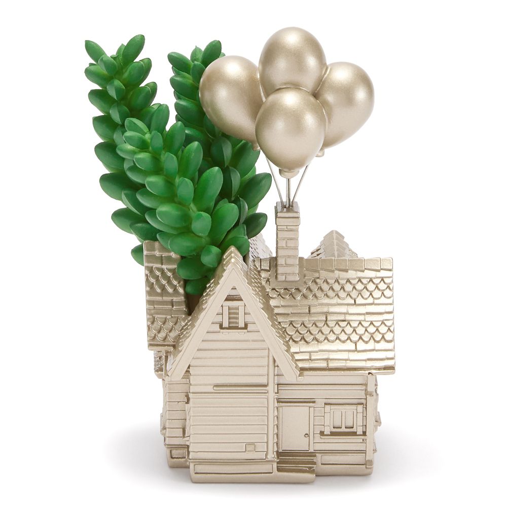 Up House Faux Succulent Holder