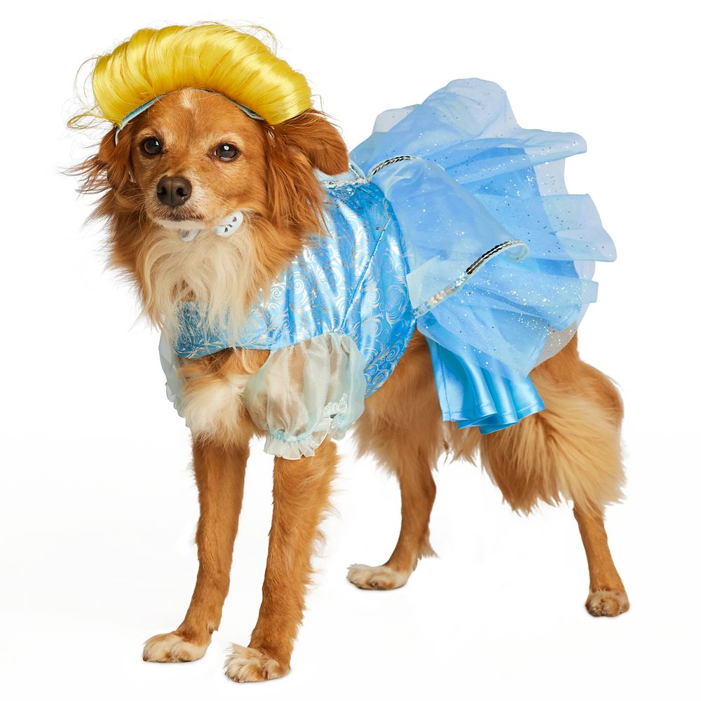 Cinderella Pet Costume Disney Store