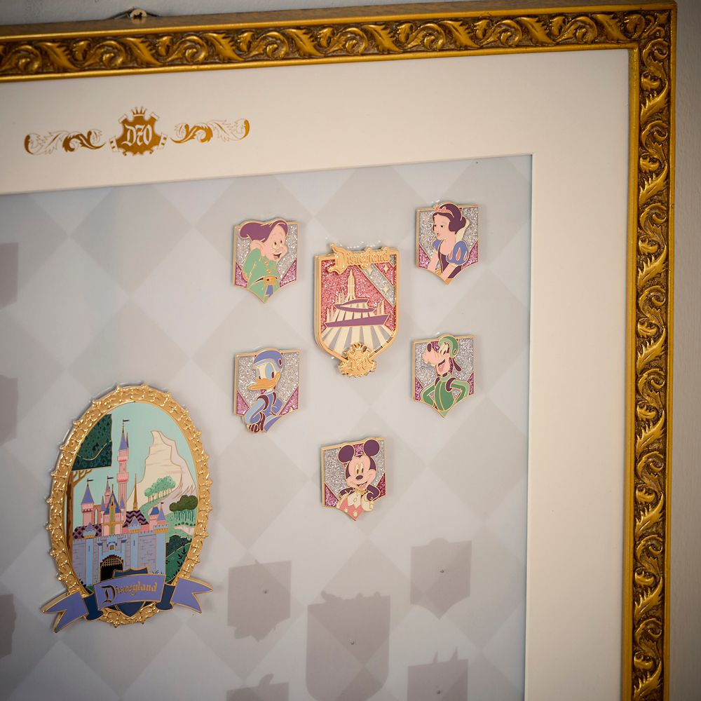 Disneyland 70th Anniversary Vault Collection Pin Display Frame
