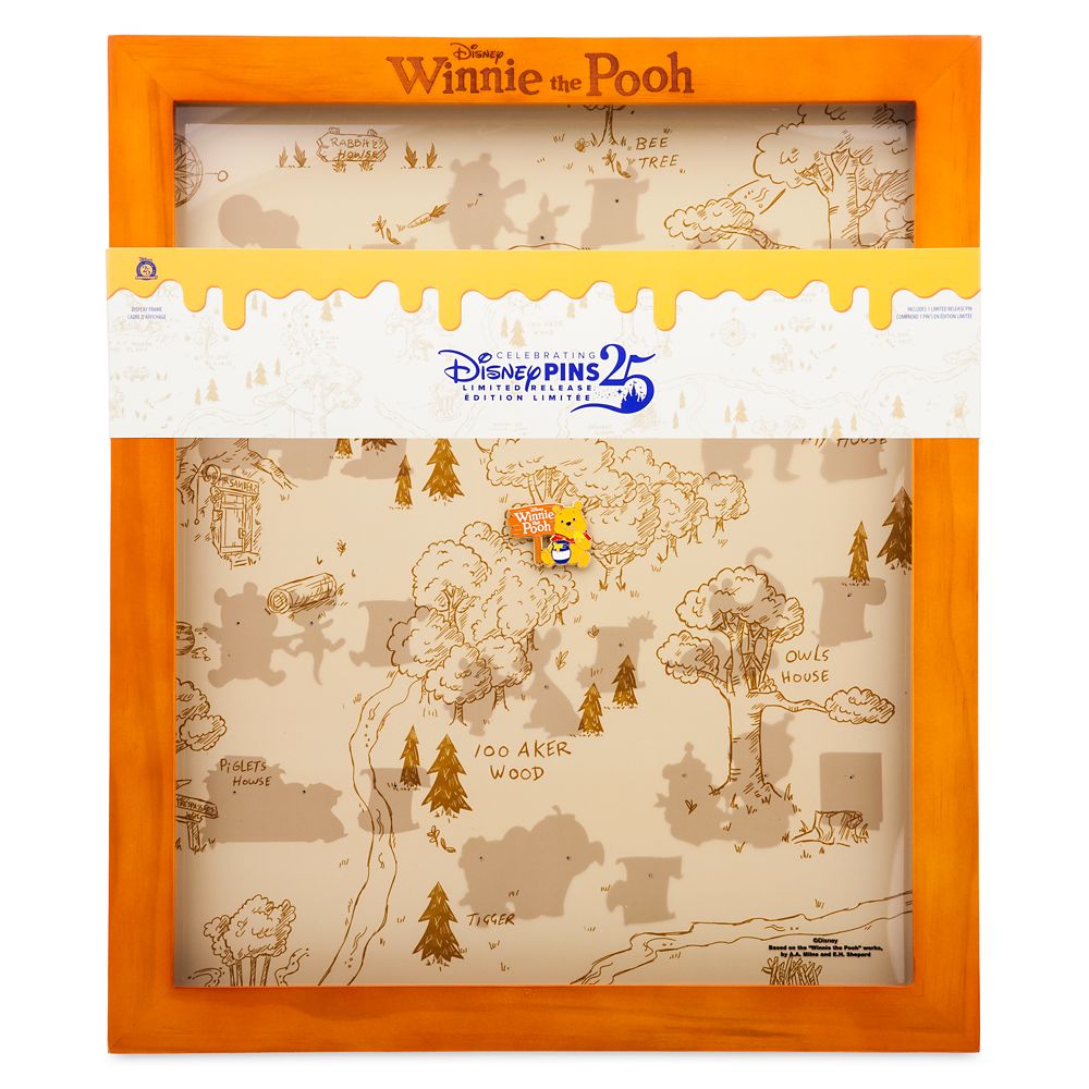 Winnie the Pooh Pin Display Frame and Pin - Hundred Acre Wood Series - Limited Release