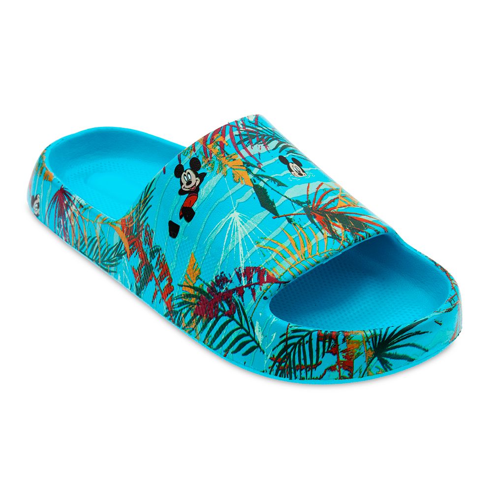 Mickey Mouse Slides for Adults