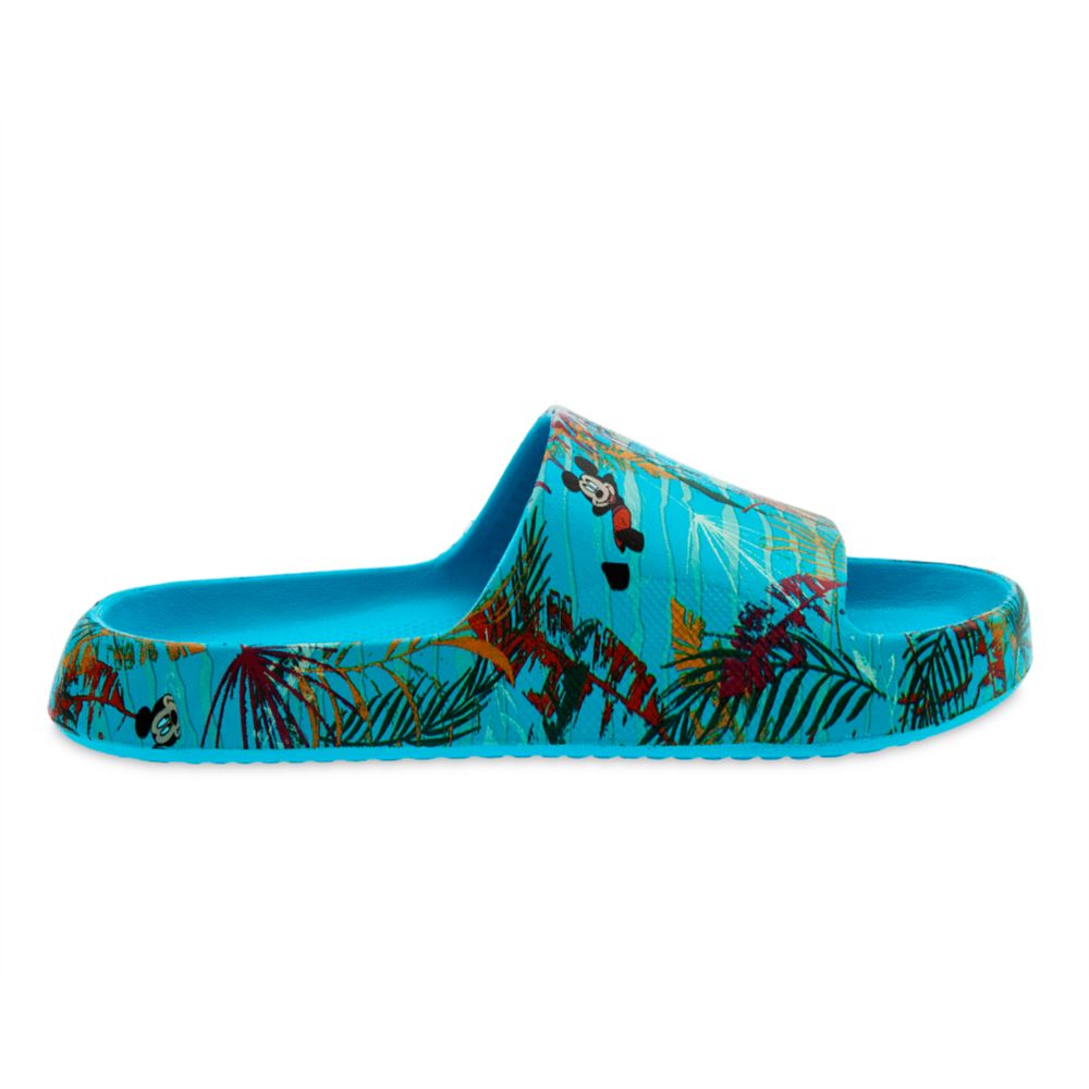 Mickey Mouse Slides for Adults