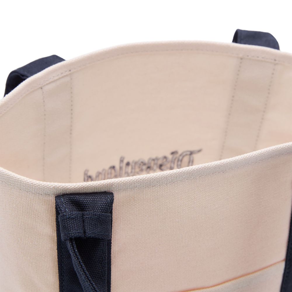 Disneyland Canvas Mini Tote Bag