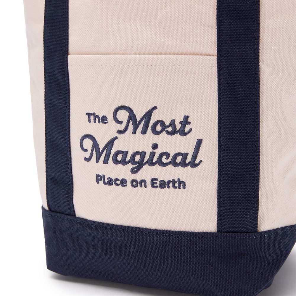 Walt Disney World Canvas Mini Tote Bag