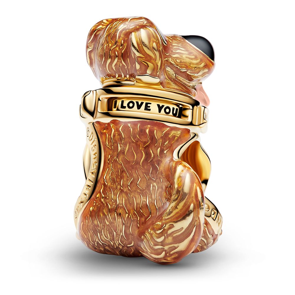 Dug Charm by Pandora &ndash; Up