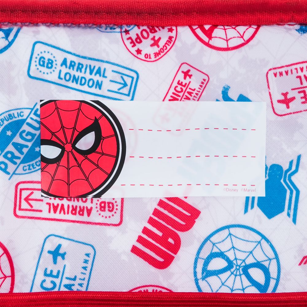 Spider-Man Backpack