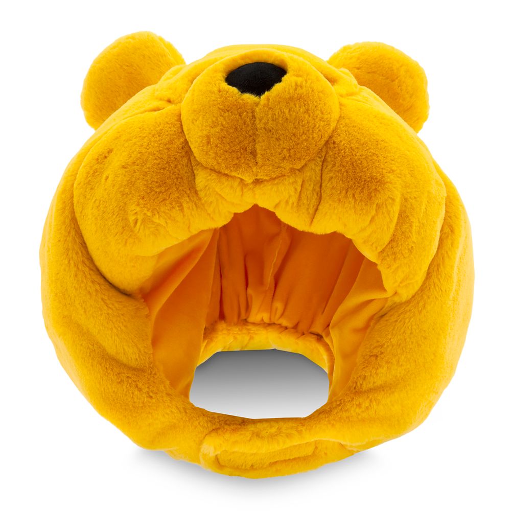 Winnie the Pooh Plush Hat