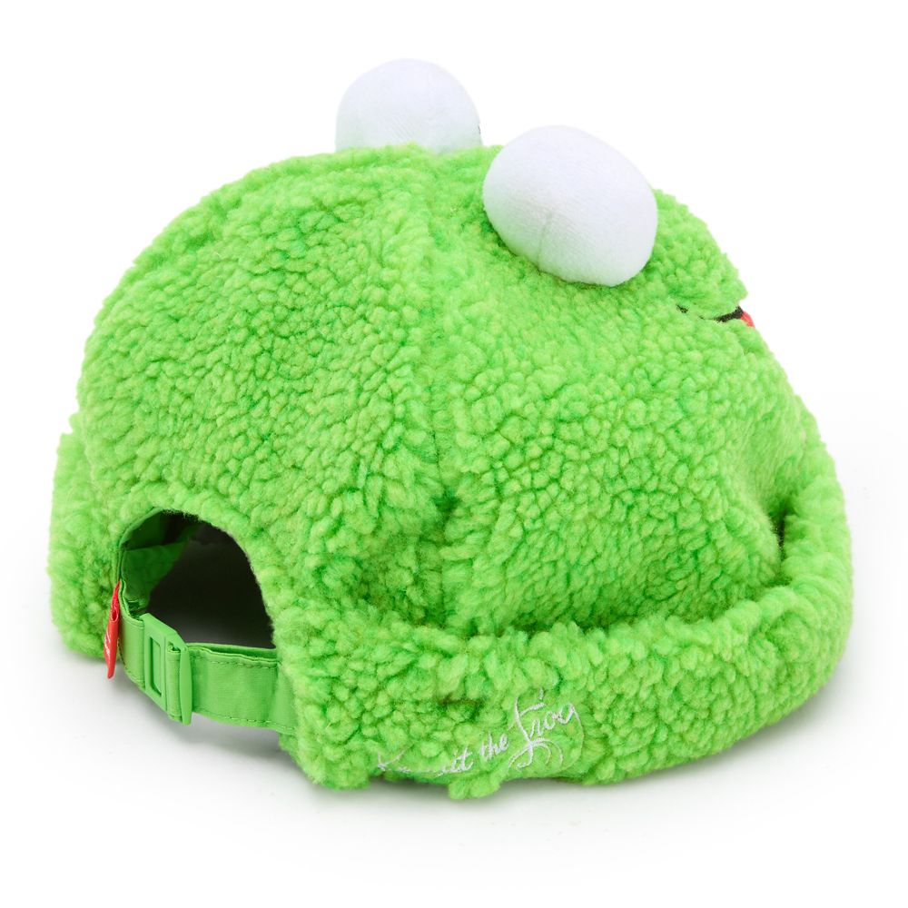 Kermit Beanie for Adults by Cakeworthy &ndash; The Muppets